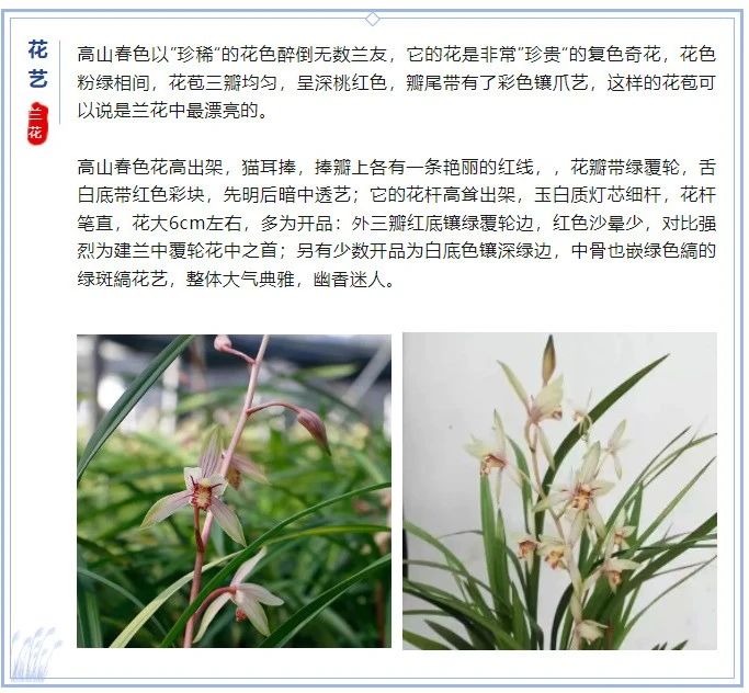 微信图片_20240805101921.jpg