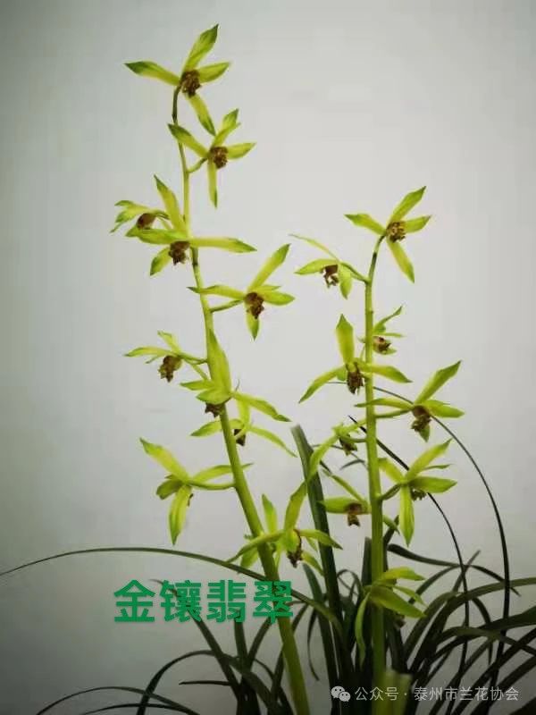微信图片_20240806103627.jpg