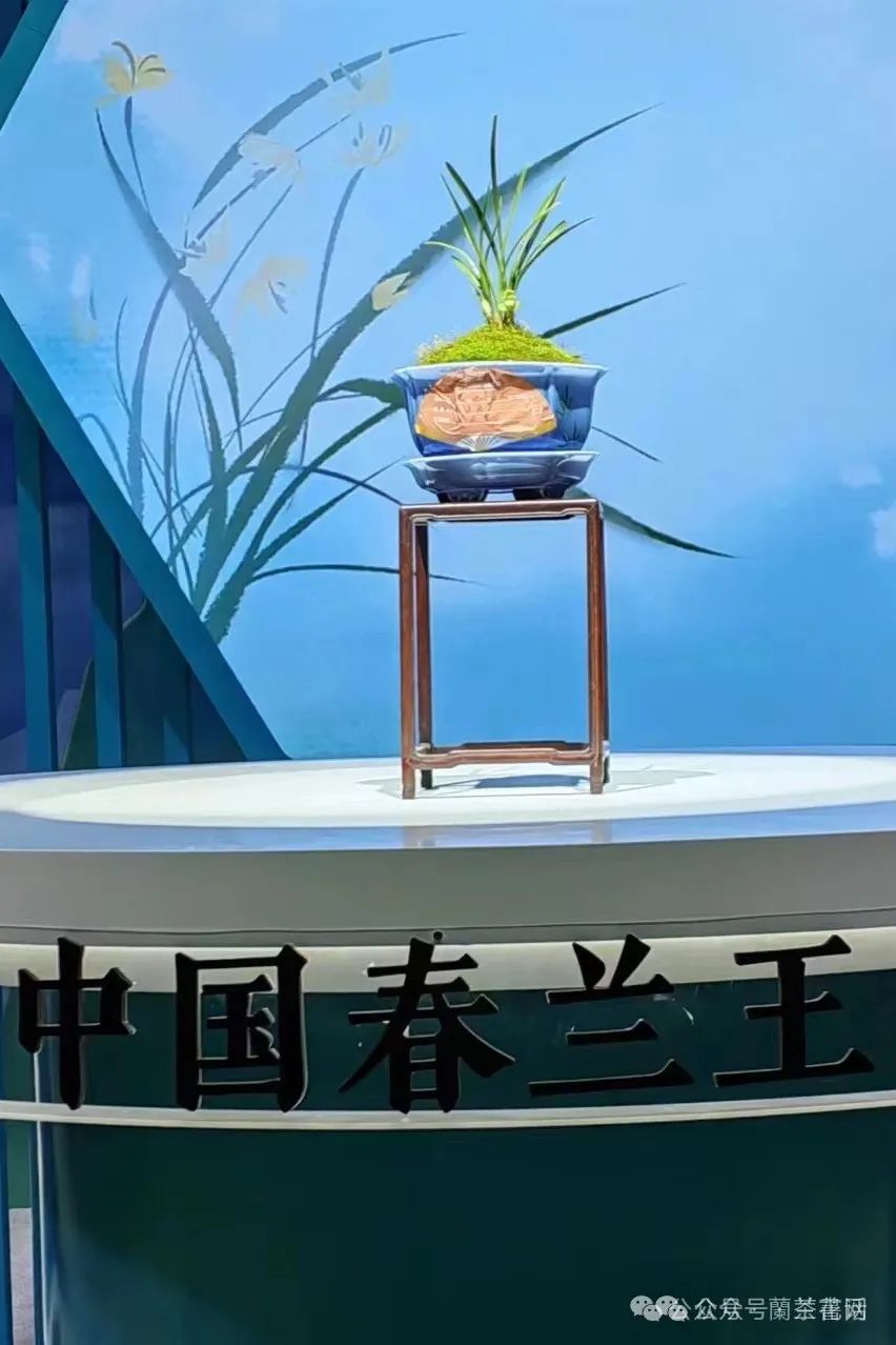微信图片_20240807180637.jpg