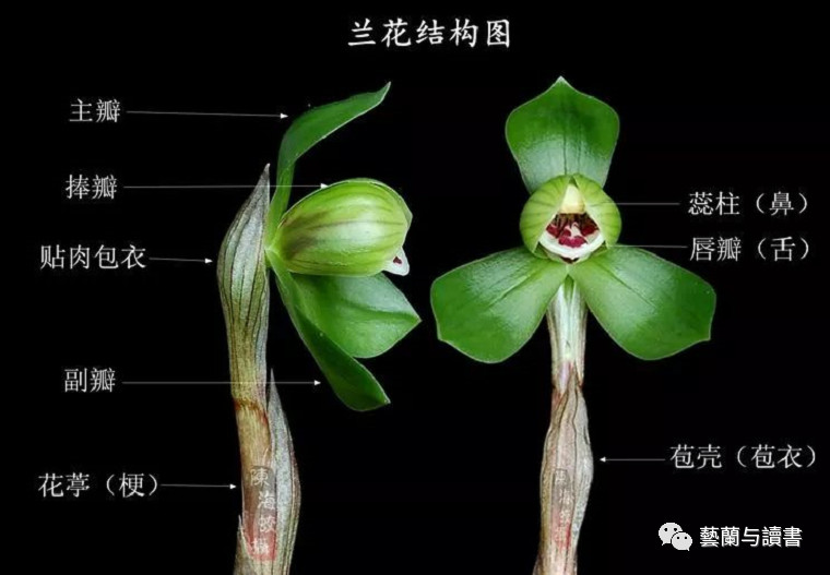 微信图片_20240811170441.jpg