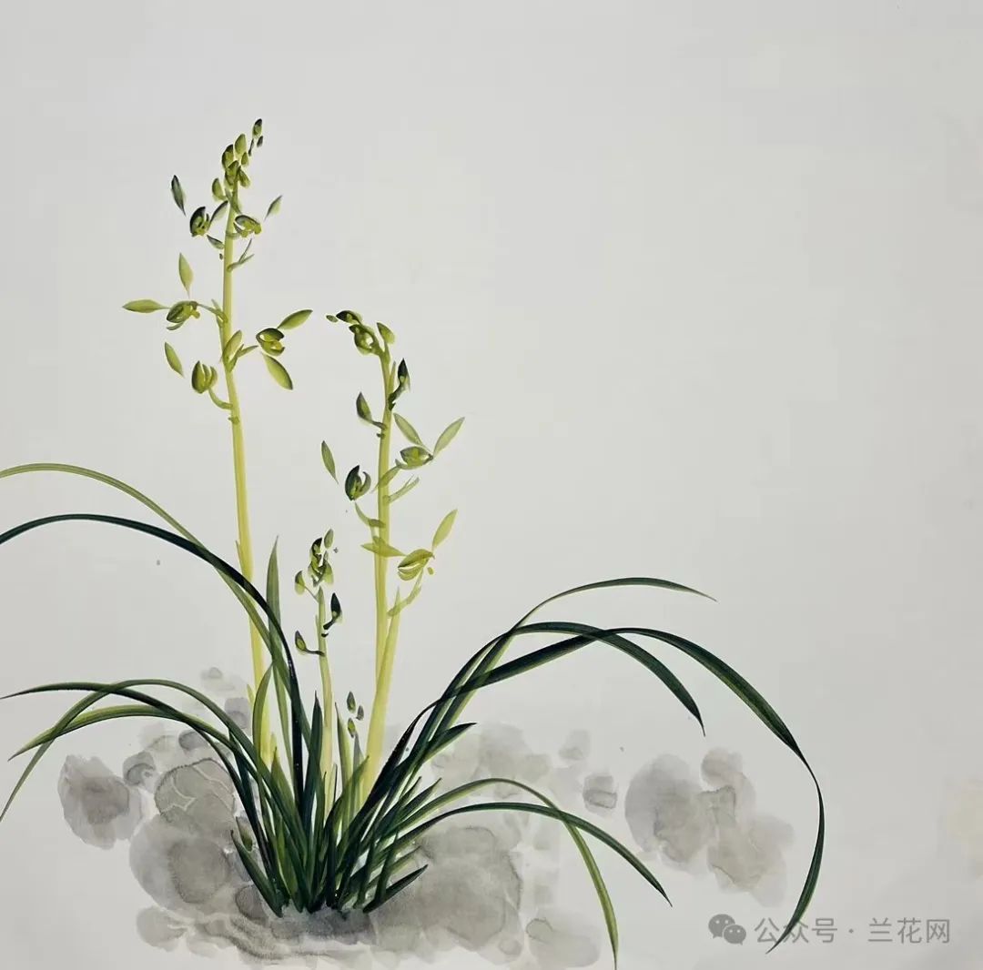 微信图片_20240813110429.jpg