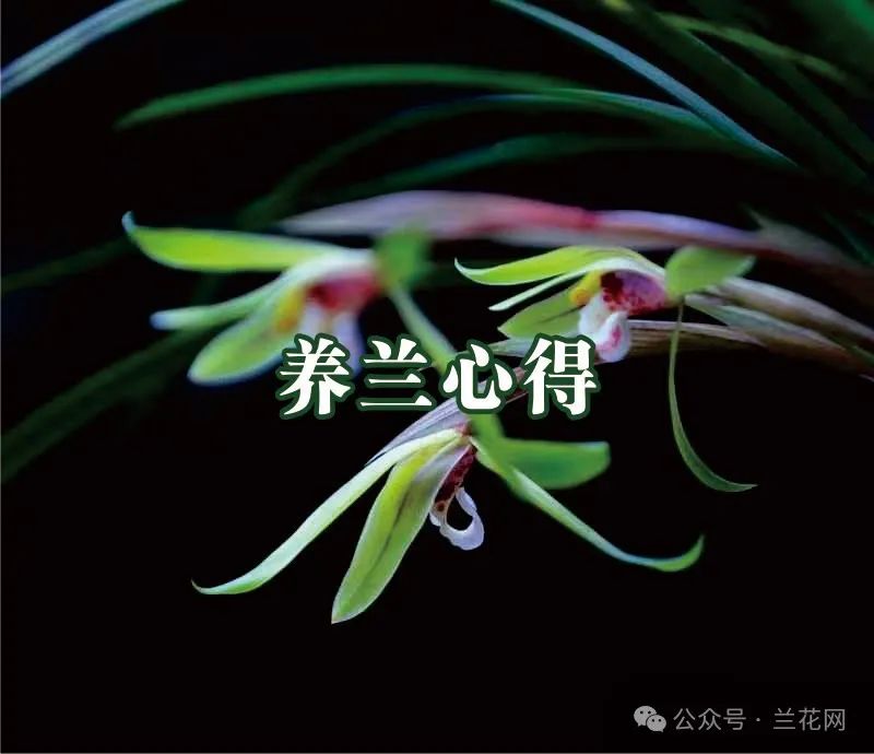 微信图片_20240815175035.jpg