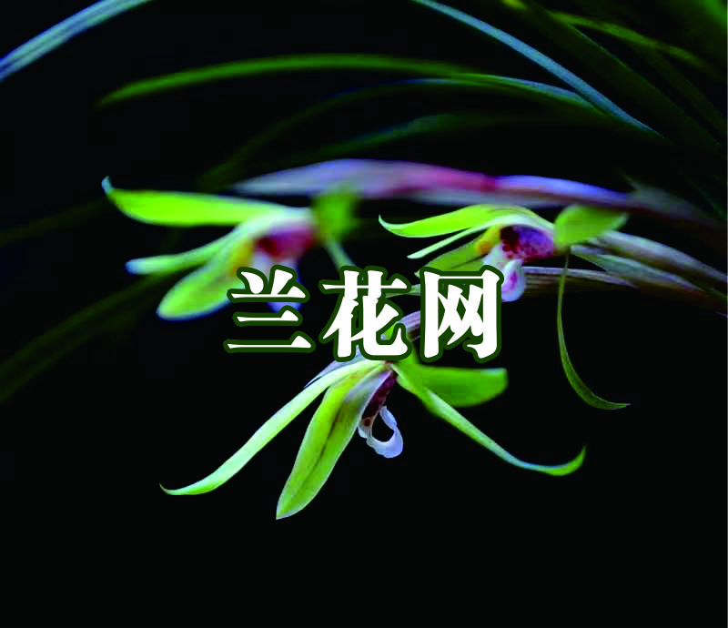 微信图片_20240815175944.jpg