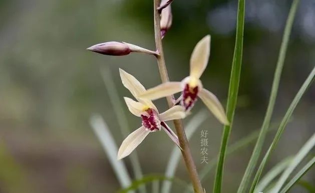 微信图片_20240818151856.jpg