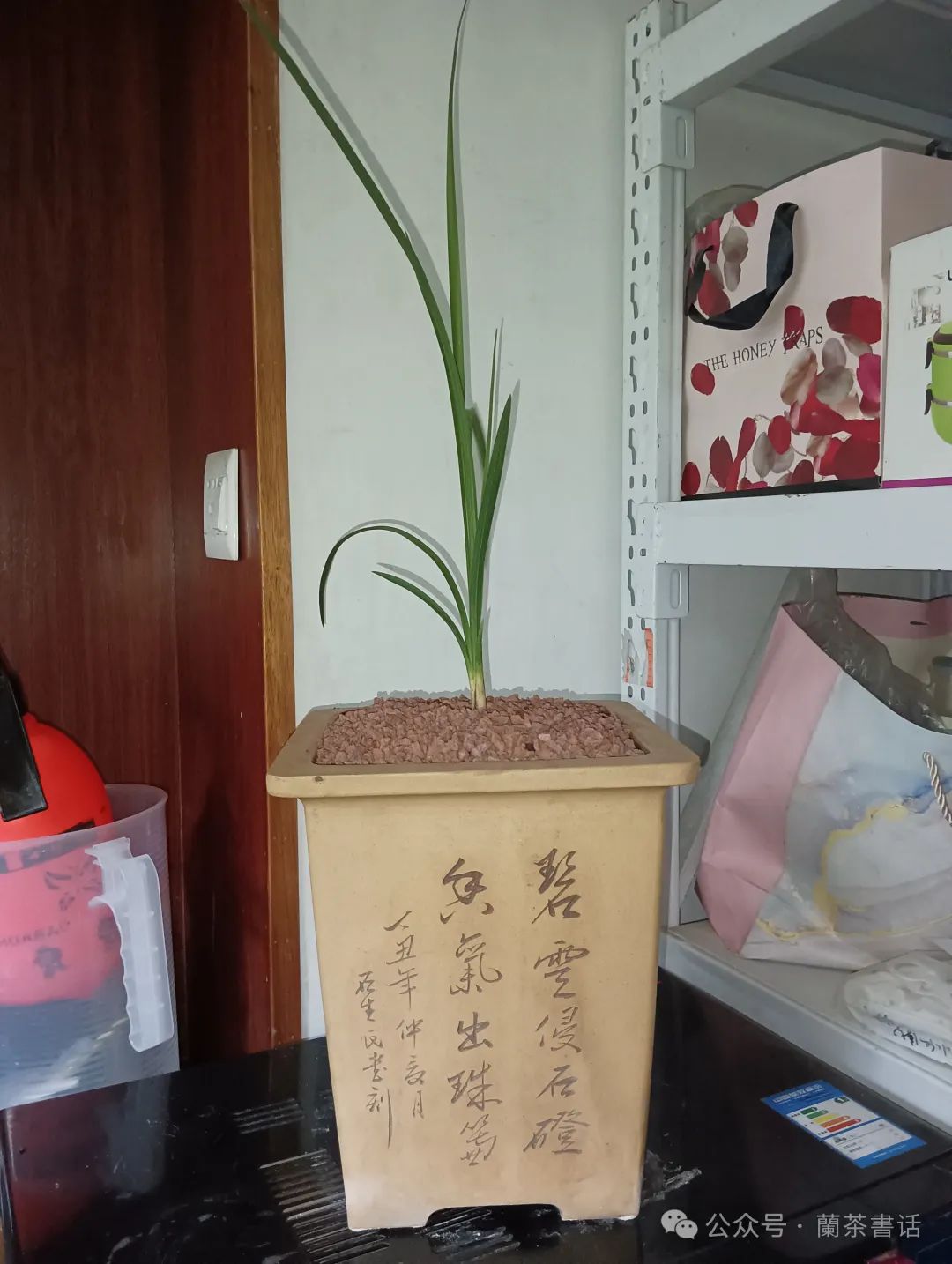 微信图片_20240818152420.jpg