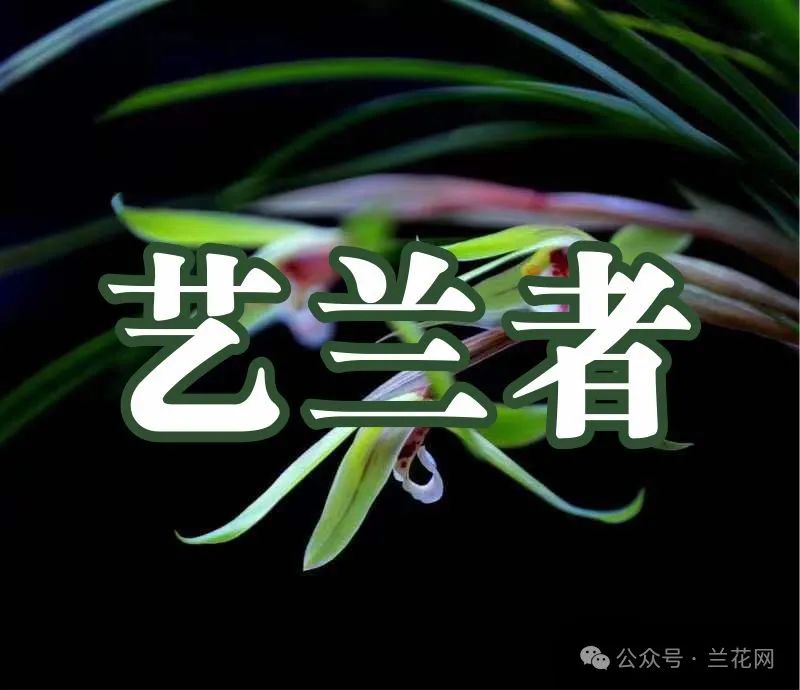 微信图片_20240825151230.jpg