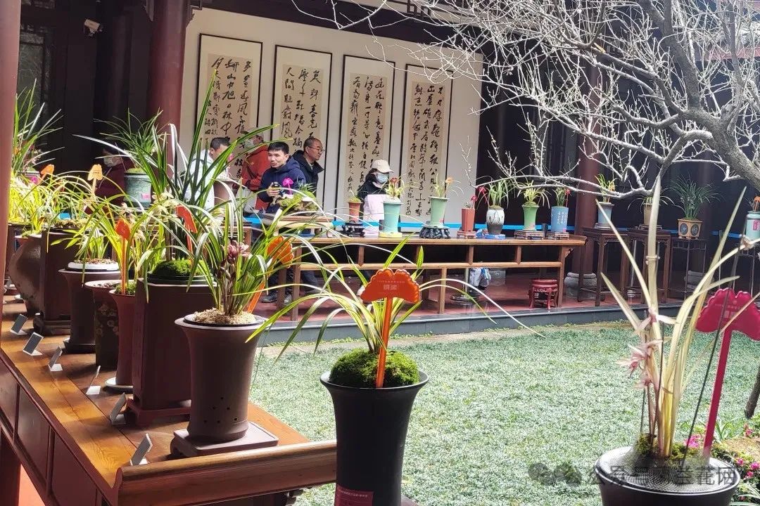 微信图片_20240825151513.jpg
