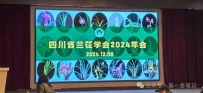 兰市正悄然地发生着变化（一）