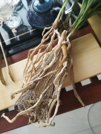 爱兰说   作者：邱春兰