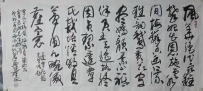 兰中珍品(覃氏黄梅)岁月凝香的自然馈赠