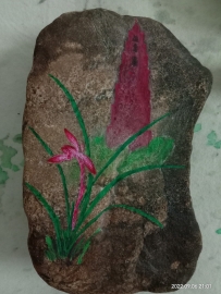 红花之乡之红塔兰花