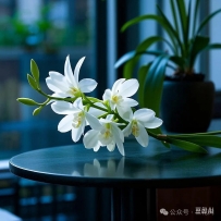 兰花花朵的色彩与气味对传粉燥介的重要作用